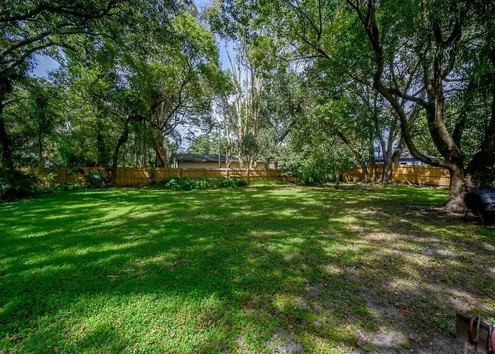 Golden Greek Getaway Chic House In Heart Of Tampa