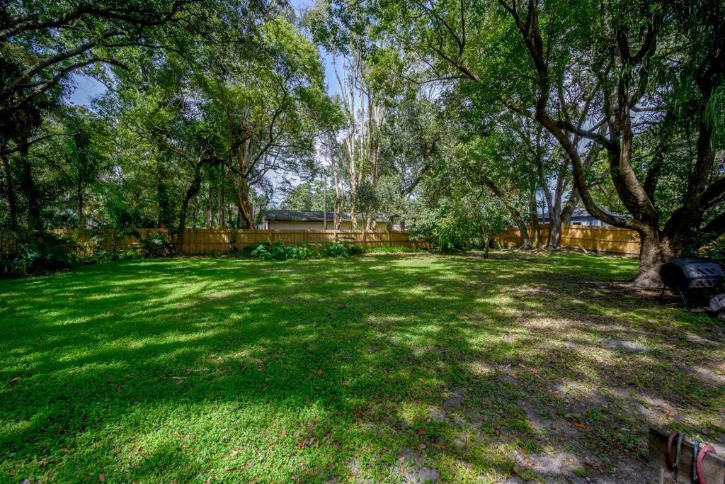 Golden Greek Getaway Chic House In Heart Of Tampa